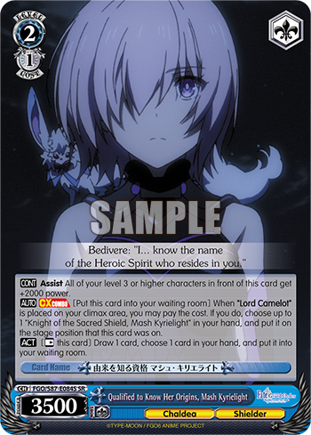 Qualified to Know Her Origins, Mash Kyrielight