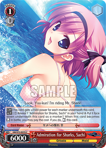 Admiration for Sharks, Sachi