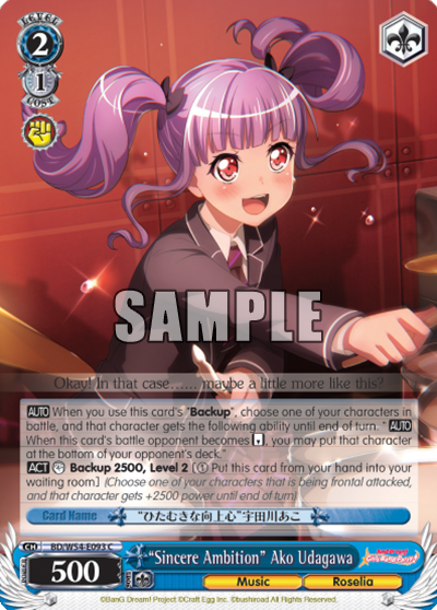 "Sincere Ambition" Ako Udagawa