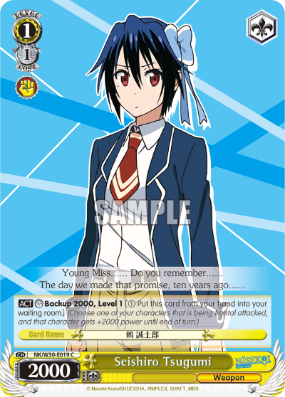 Seishiro Tsugumi