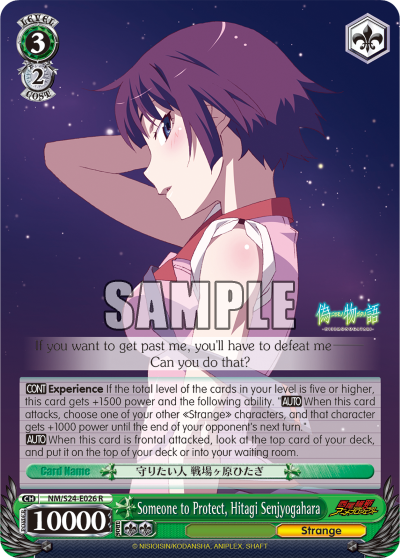 Someone to Protect, Hitagi Senjyogahara