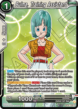 Bulma, Training Assistant